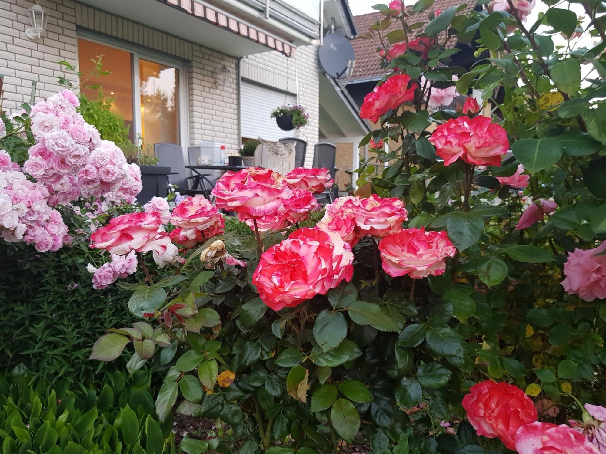 Ferienwohnung Monschauer Land Exteriör bild
