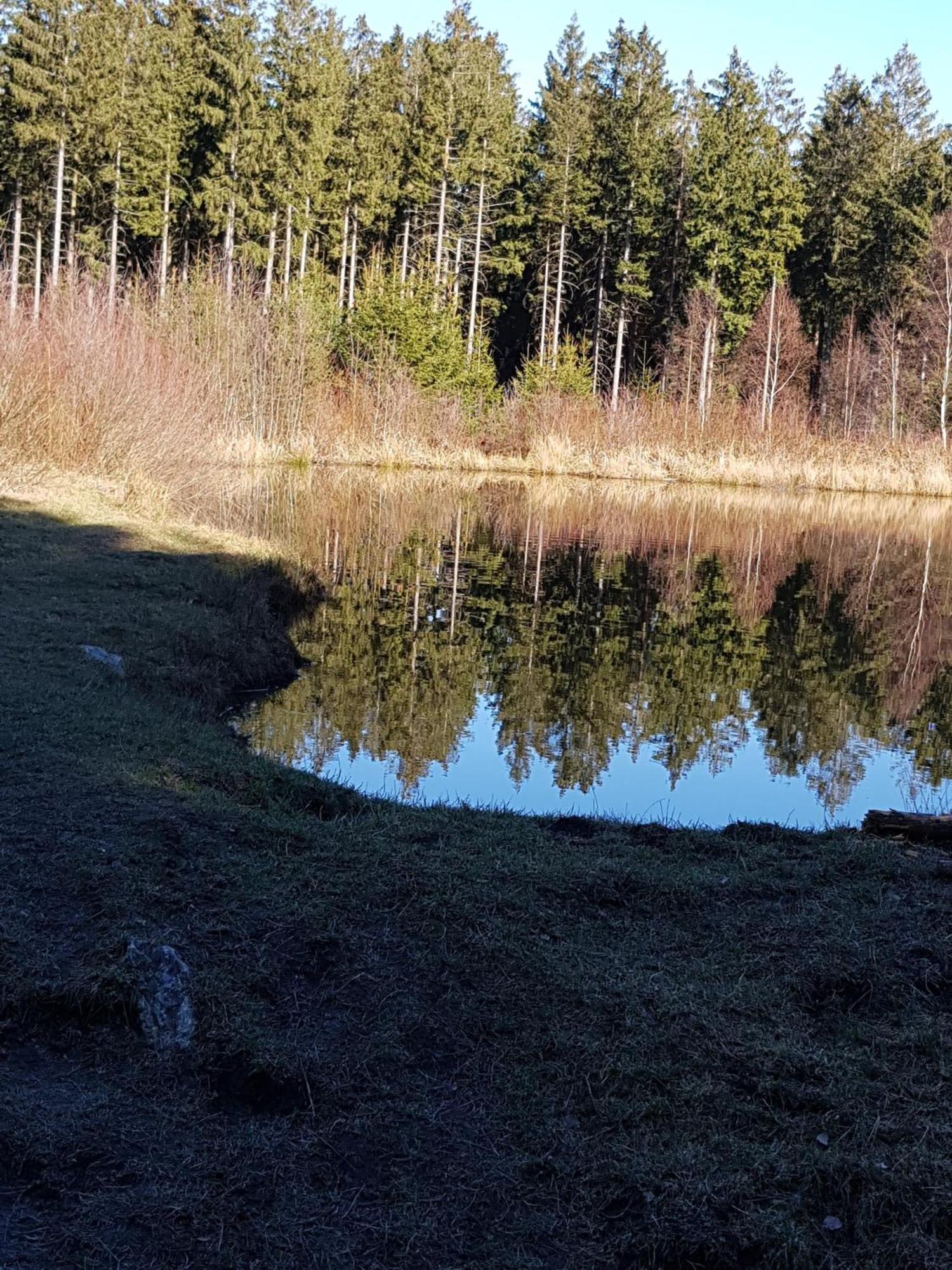 Ferienwohnung Monschauer Land Exteriör bild